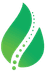 Brainheal Logo